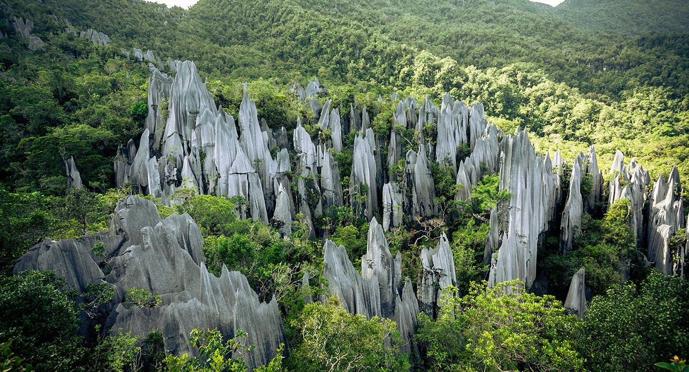 The Amazing Pilgrimage in Mulu, Sarawak