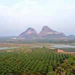 Timah Tasoh Lake, Perlis – A Tranquil Sanctuary of Nature and Birds