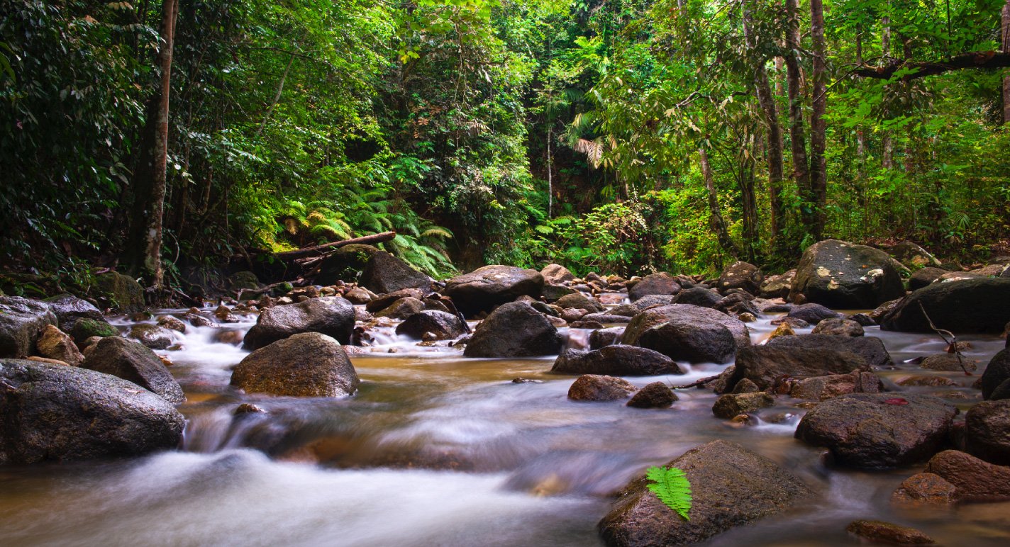 Ulu Bendul Recreational Forest, Negeri Sembilan