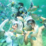 Underwater Adventure at Mamutik Island, Sabah