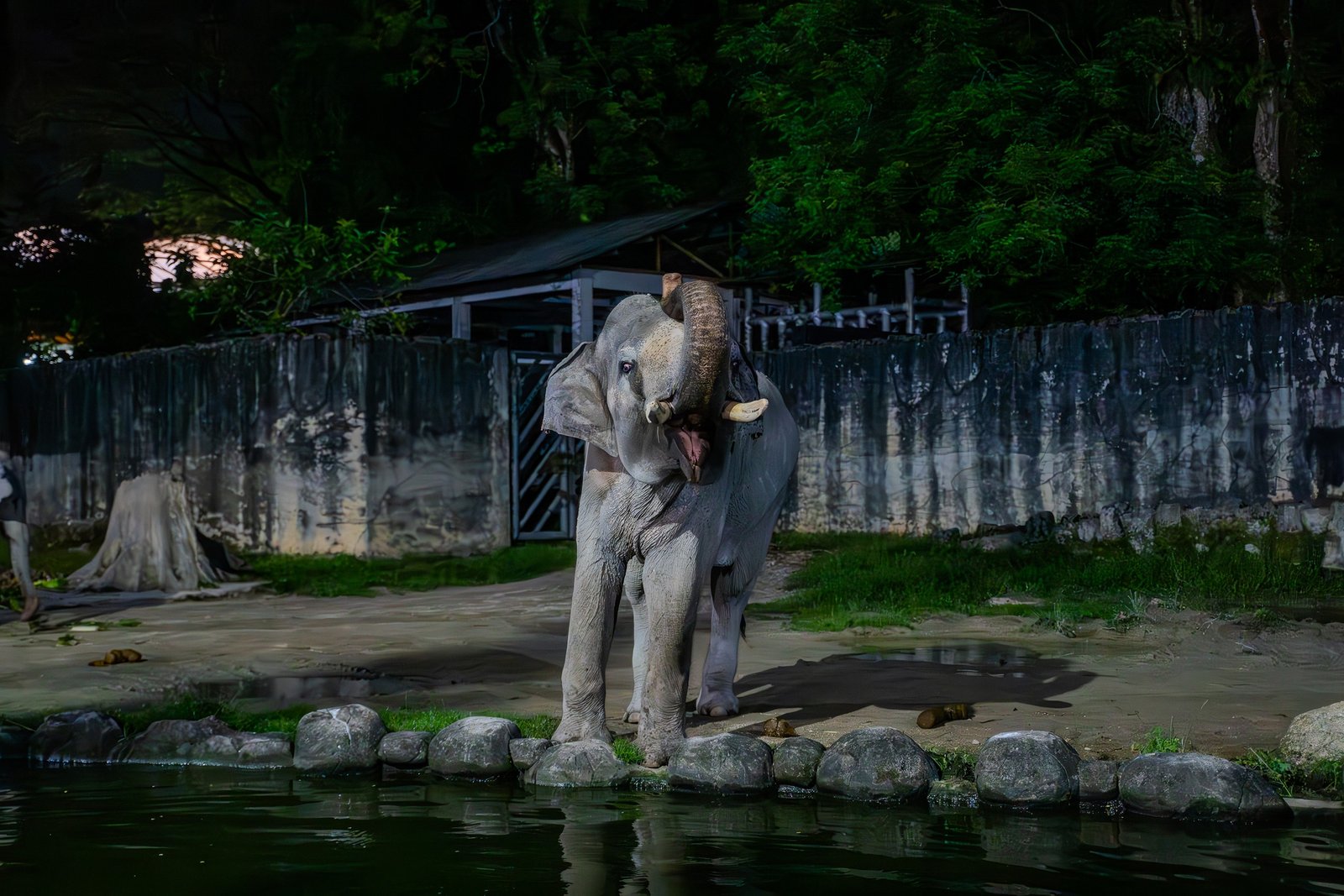 Zoo Taiping & Night Safari, Perak