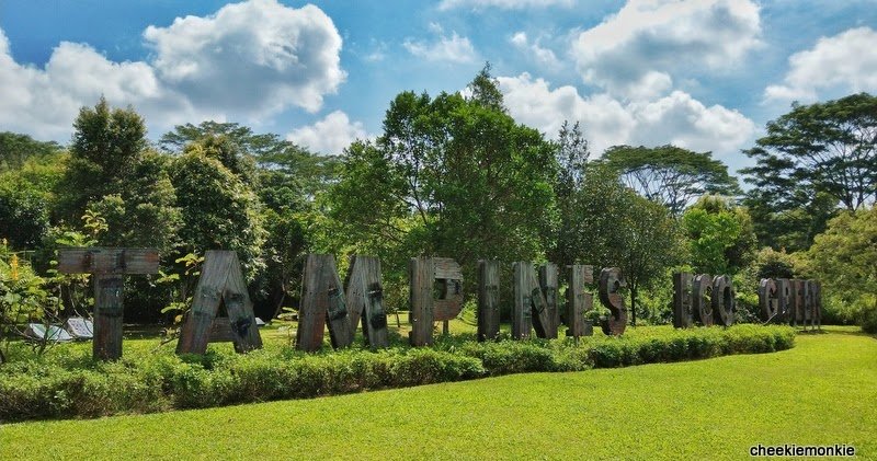 Discover Tampines Eco Green Singapore