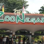 Free Zoo Negara Entry for Malaysians Within 30 Days of Their Birthday