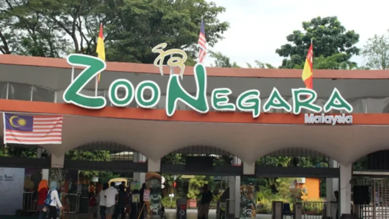 Free Zoo Negara Entry for Malaysians Within 30 Days of Their Birthday