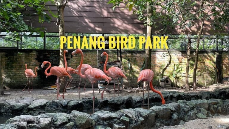 Penang Bird Park by Naming Its Animal Stars