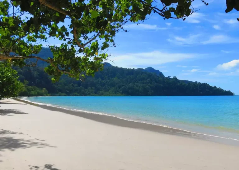 Top 10 Best Times to Visit Malaysia