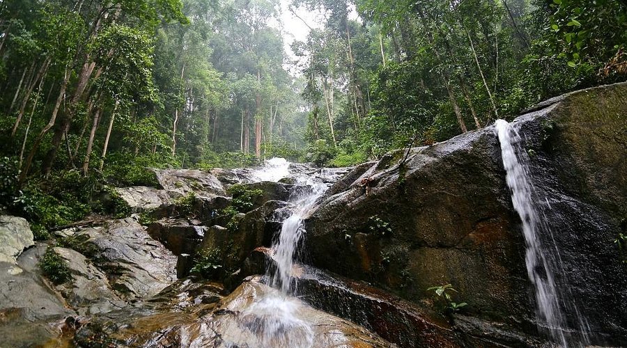 Top 10 Nature Escapes Near Kuala Lumpur