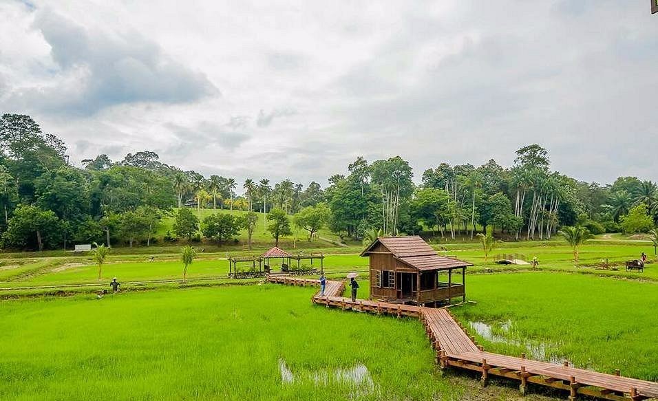 Top 10 Picnic Spots in Selangor for Nature Lovers