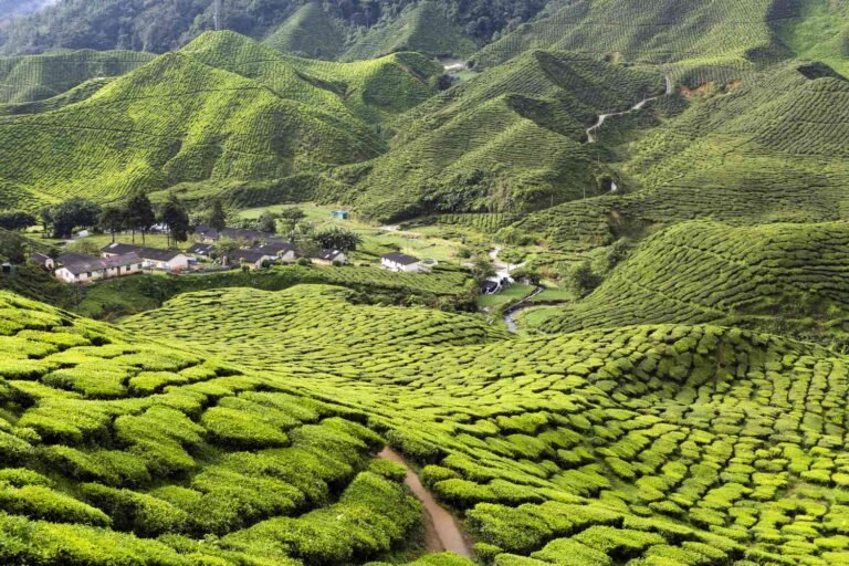Top 10 Scenic Drives in Malaysia