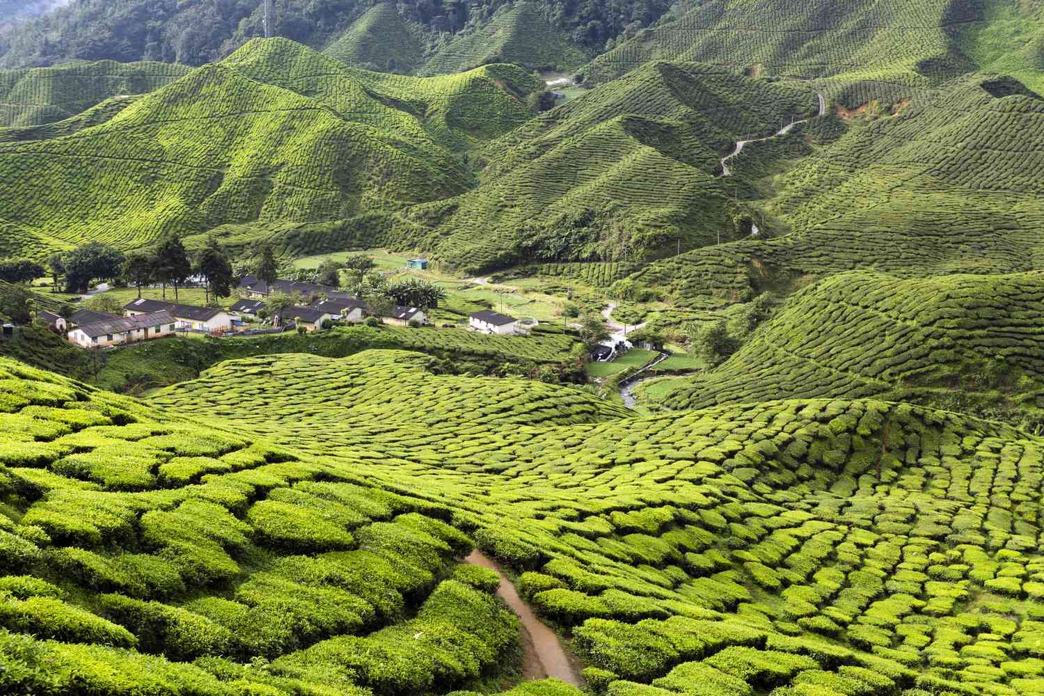 Top 10 Scenic Drives in Malaysia