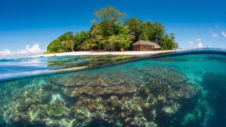 Top 10 Things to Do in Sabah