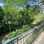 Zhenghua Park Singapore