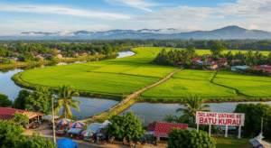 Batu Kurau