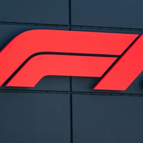 F1 Formula One Drivers Standings