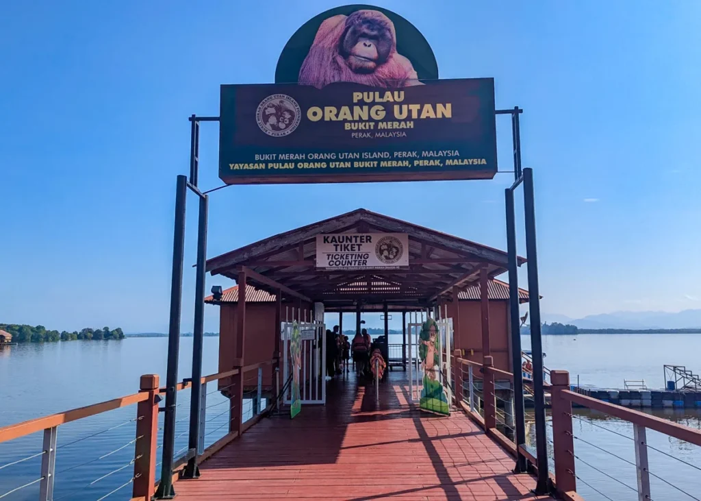 Orangutan-Island-Bukit-Merah