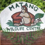 Matang Wildlife Center Kuching Sarawak