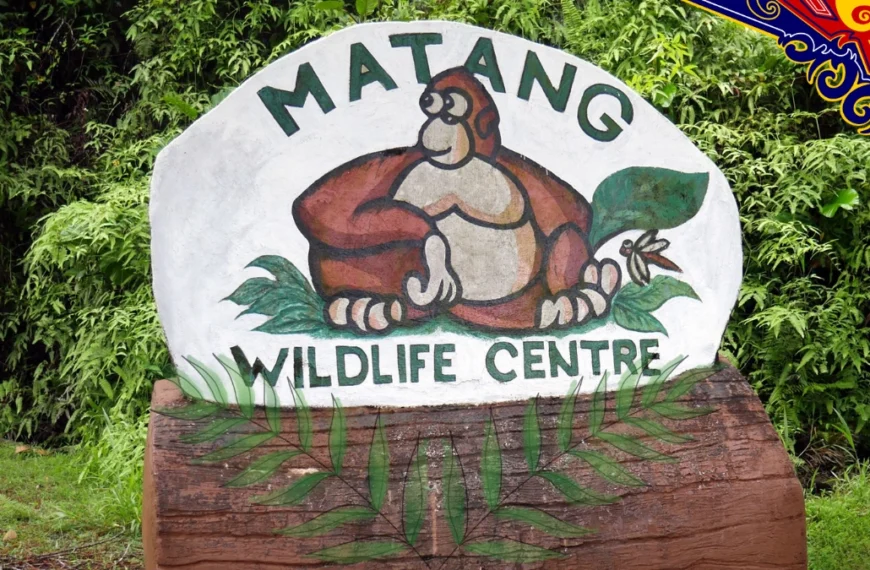 Matang Wildlife Center Kuching Sarawak