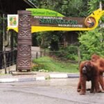 Semenggoh Wildlife Centre Kuching