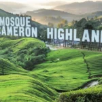 Mosques in Cameron Highlands