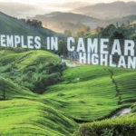 Temples in Cameron Highlands