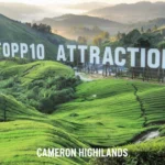 Top 10 Attraction in Cameron Highlands
