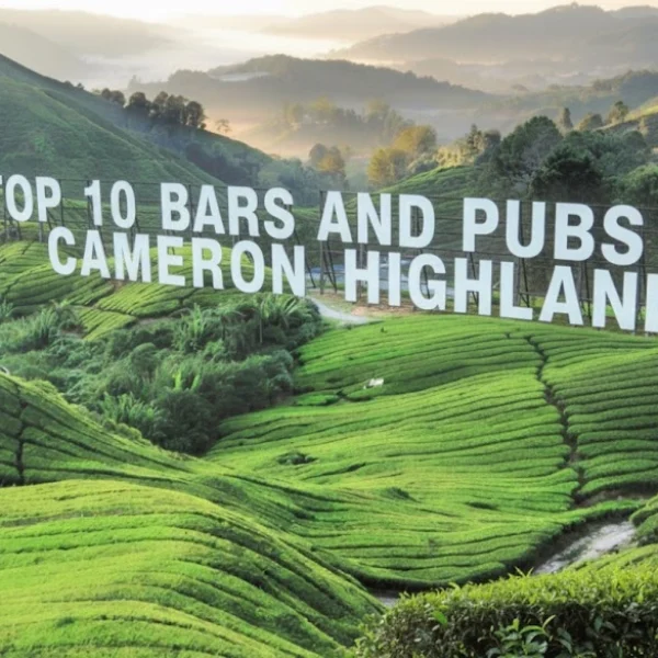 Top 10 Bars and Pubs in Cameron Highlands