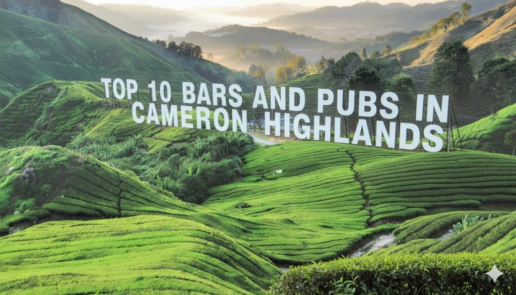 Top 10 Bars and Pubs in Cameron Highlands