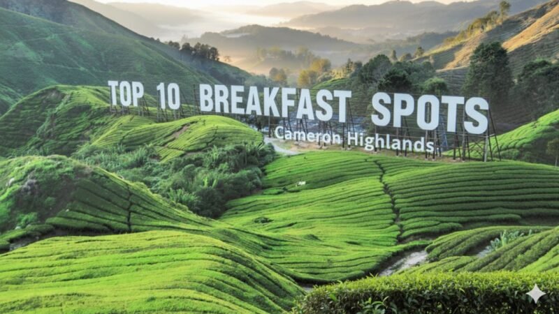 Top 10 Breakfast Spots in Cameron Highlands