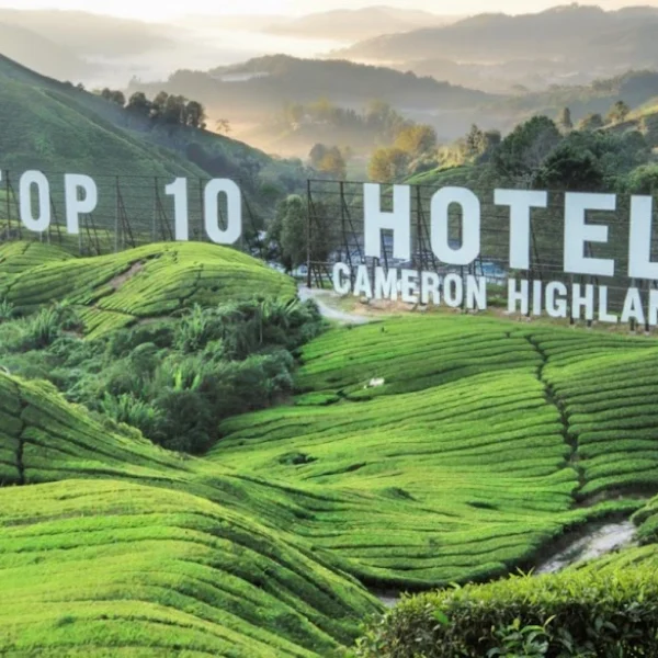 Top 10 Hotels in Cameron Highlands