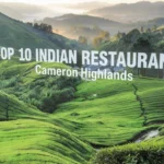 Top 10 Indian Restaurants in Cameron Highlands