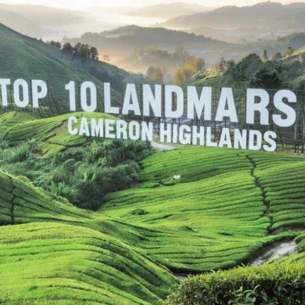 Top 10 Landmarks in Cameron Highlands