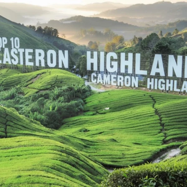 Top 10 Middle Eastern Cameron Higlands