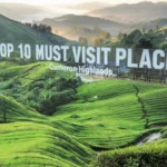Top 10 Must Visit Places Cameron Highlands