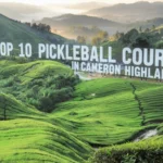 Top 10 Pickleball Courts in Cameron Highlands