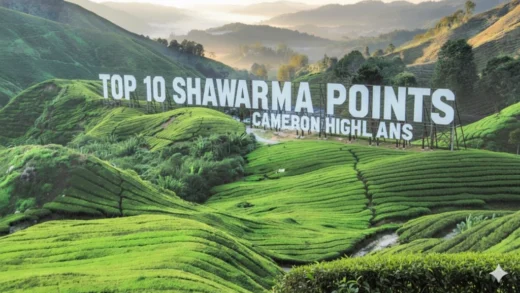 Top 10 Shawarma Point in Cameron Highlands