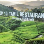 Top 10 Tamil Restaurants in Cameron Highlands
