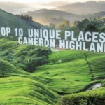 Top 10 Unique Places in Cameron Highlands
