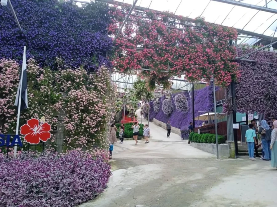Cameron Highlands Day Tour from Kuala Lumpur-Private or Shared Nature Escape