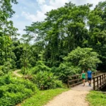 Dairy Farm Nature Park