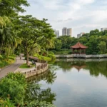 Woodlands Town Garden