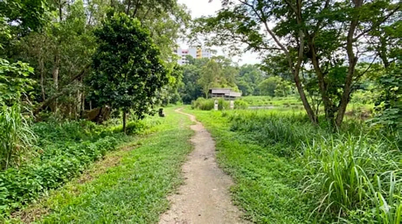 Tampines Eco Green