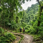 Bukit Timah Nature Reserve