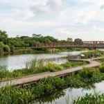 Lorong Halus Wetland