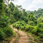 Chestnut Nature Park