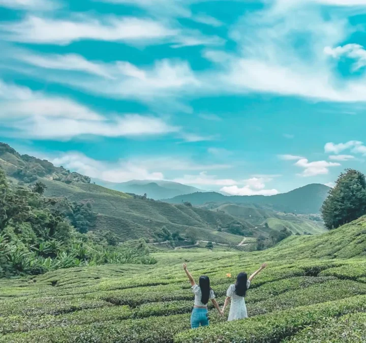 Cameron Highlands Full-Day Tour- Explore Tea Estates Waterfalls & Nature Escapes