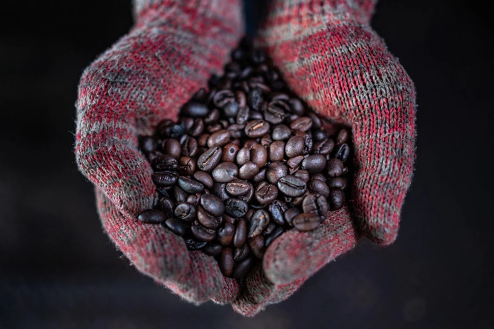 Discover Kedah & Perlis in 2 Days- The Ultimate Coffee Trail Experience