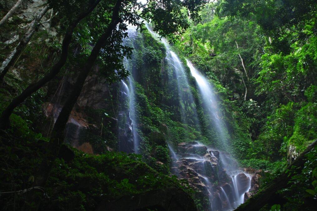 Discover Royal Belum’s Hidden Wonders with Dr Cruise Houseboat Adventure
