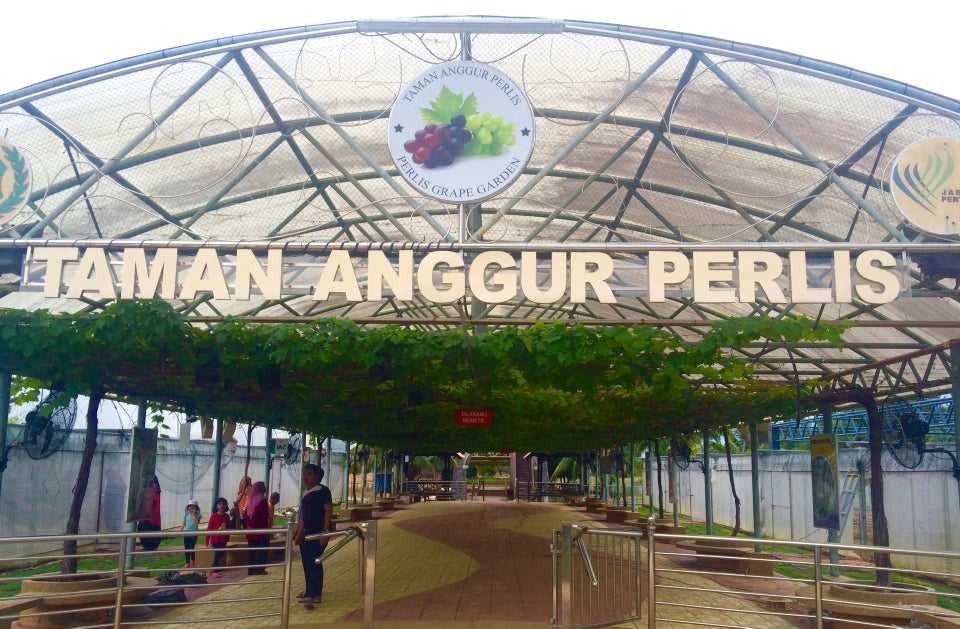 Explore Hidden Gems of Perlis on a Scenic Day Tour