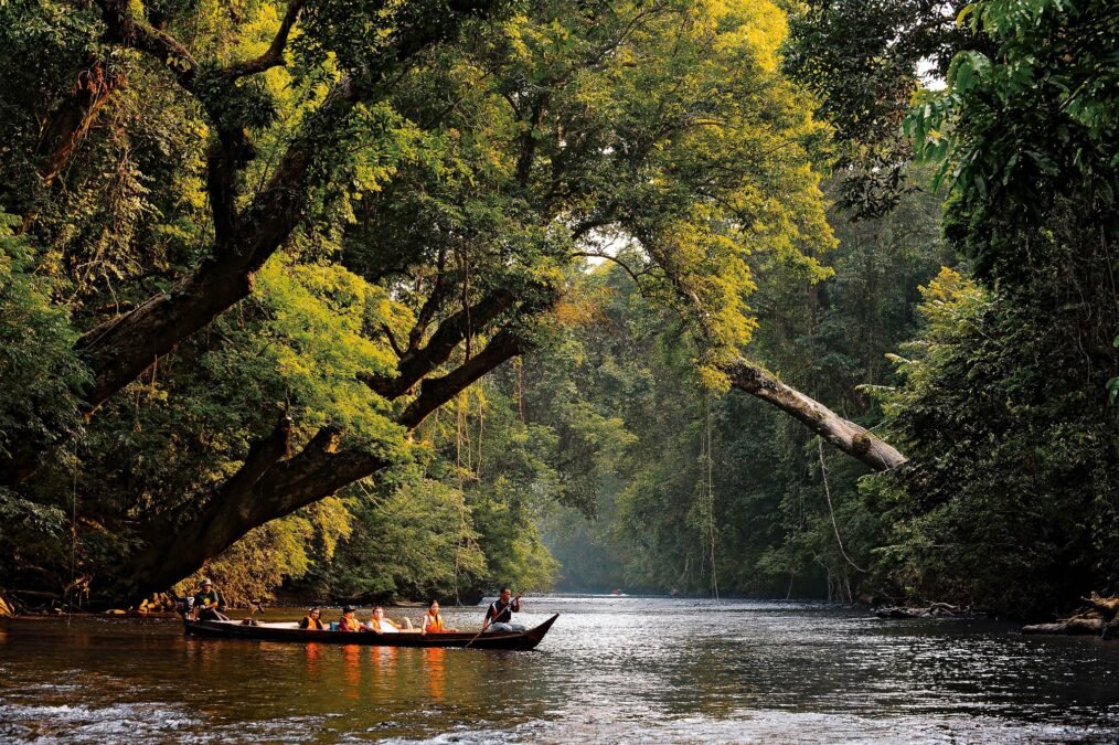 Explore Taman Negara- 3D2N Rainforest Full Board Experience