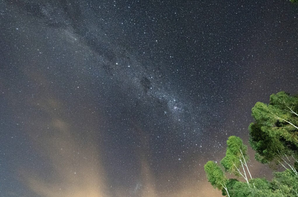 Explore the Soul of Borneo with This Sarawak Cultural Adventure